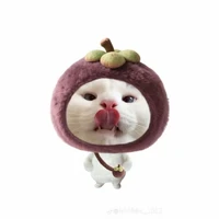 T/g phụ bị khùng