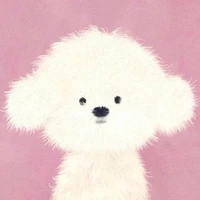 Choi Soo Jung