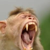 thằng bắt nạt 1