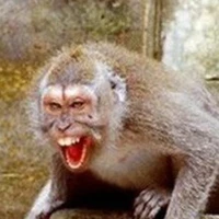 thằng bắt nạt 2