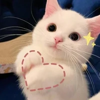 thiếu phu nhân meo meo