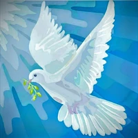 Hệ thống - Hyrana