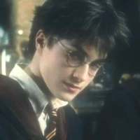 Harry Potter.