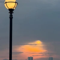 All [ trừ ai cần trừ ]