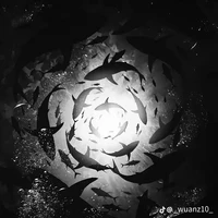 Glow Aura [ tác giả ]