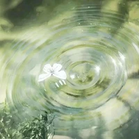 nhân vật phụ - vô danh.