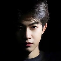 Phan Lê Vy Thanh