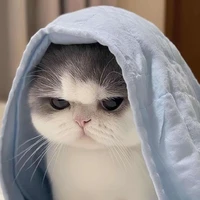 Tác giả