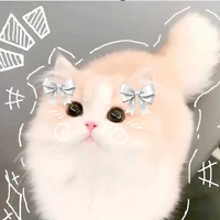 Hệ thống (mikay)