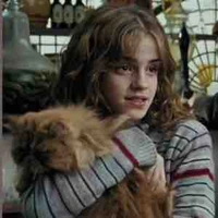 Hermione Granger 