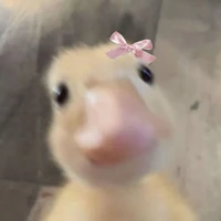 Lười!