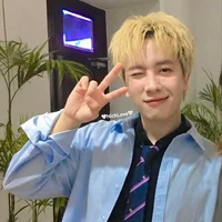 Trần Phong Hào (mèo)