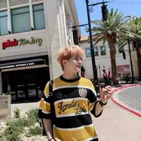 Nguyễn Quang Anh (hamster)