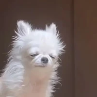 Những người có mặt tại đó.
