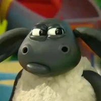 Nhóm bot (trừ ai thì trừ)