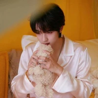 Hạ Tuấn Lâm (em)