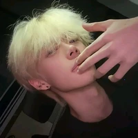 Vũ Hoàng Hải Đăng