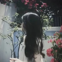 Lots