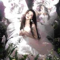 Nàng Tiên (Hệ thống)