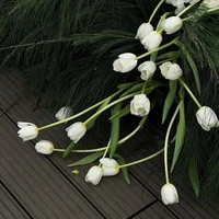 mấy đứa theo dõi