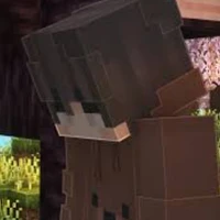 bear see tình
