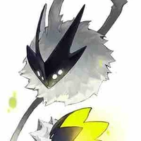 Saobi (Calix)