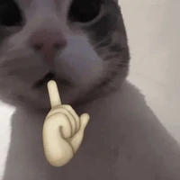 @muốn đi chơi với ny cơ