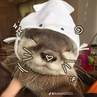 Rái cá🦦