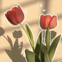All top