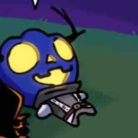 Dusekkar(bí ngô xanh)