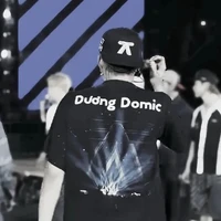 dương domic
