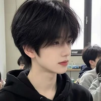 Lý Gia Kiệt (anh trai nữ chính)