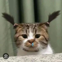 All