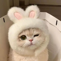 Tác giả Lulu