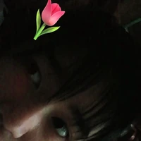 🌸Tác giả nekk 🌸