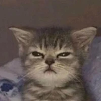 mew meow