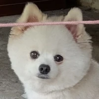 ???????????