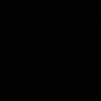 NV phụ