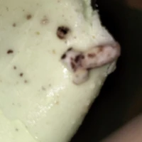 (⁠･ั⁠ω⁠･ั⁠) Tui nè 