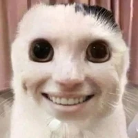 MN ( trừ ai thì trừ)