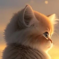 Vũ