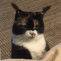 ?