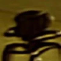 entity 1(beta)