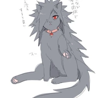 Madara( dạng mèo )