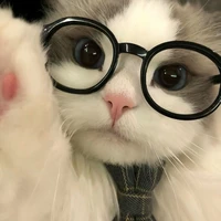 tác giả mầm non