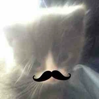 t/g bị tẻn tẻn 