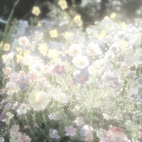 Quần chúng - NPC - NVP