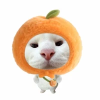 Su୨ৎ