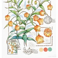 Aurantiaca (hệ thống)