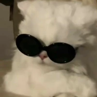 bé ngốc ><